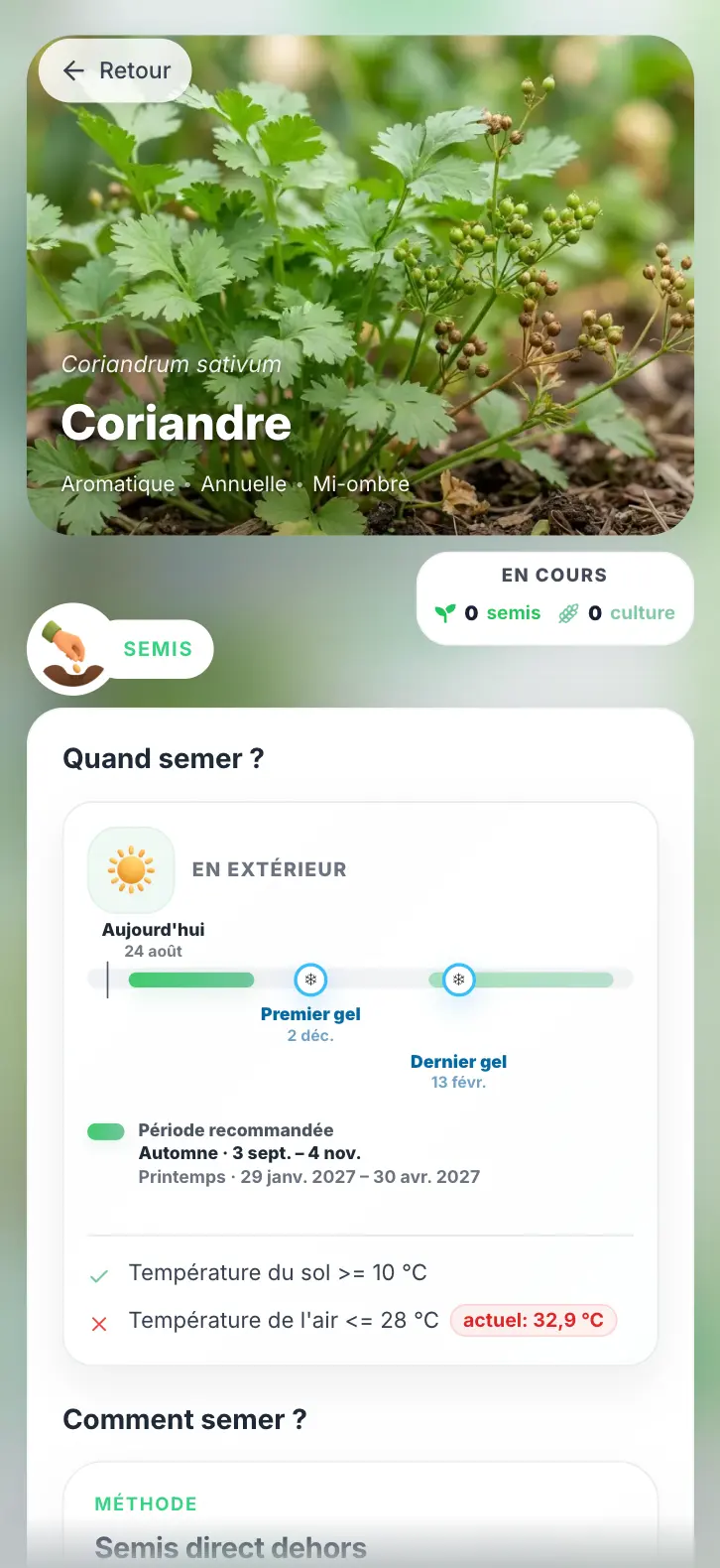 Fiche de la coriandre dans Grainly, avec ses périodes de semis extérieur, ses repères de gel et les conditions de température.