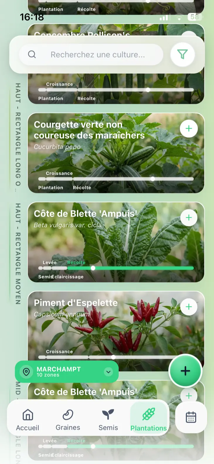 Liste des plantations en cours dans Grainly, avec la courgette sélectionnée pour démarrer un diagnostic.