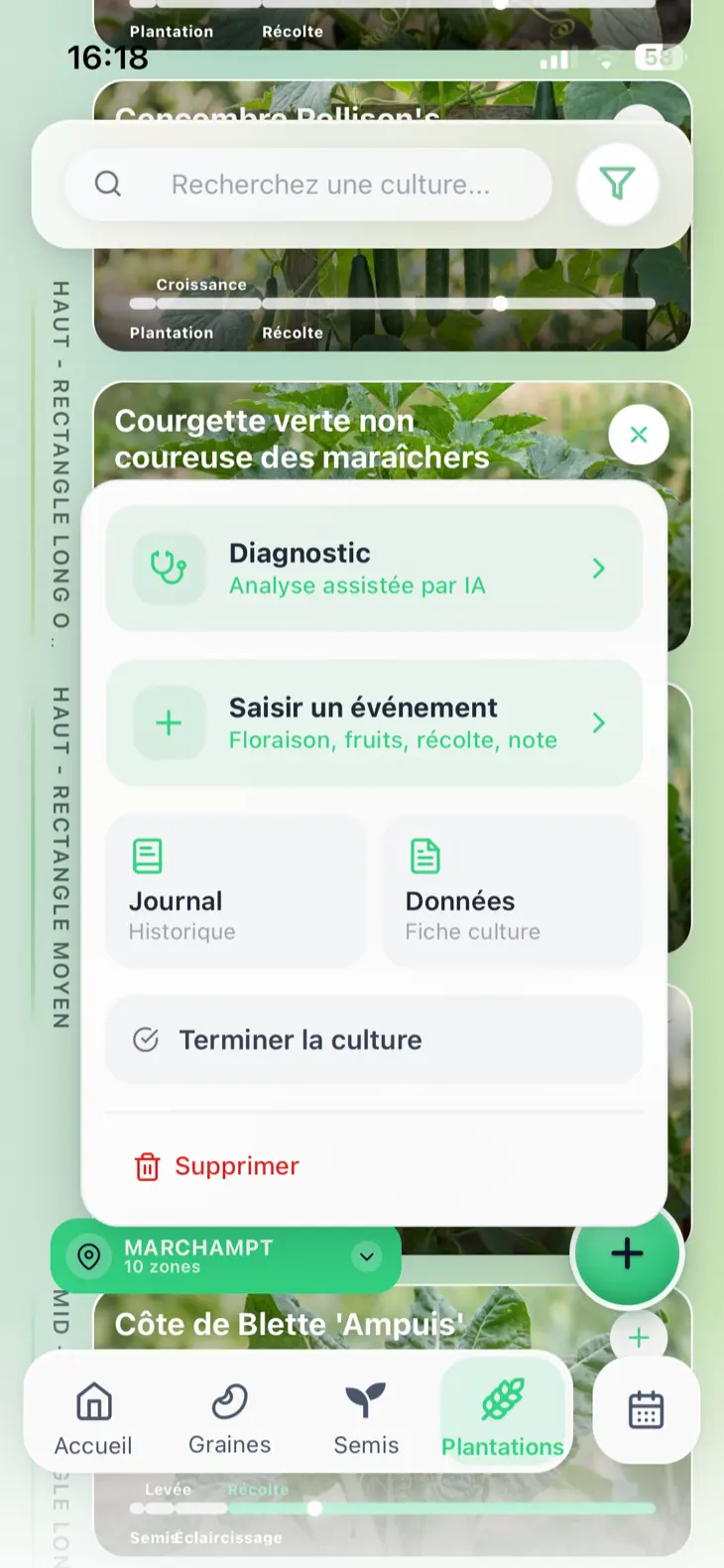 Menu de la courgette dans Grainly avec l’action Diagnostic, présentée comme une analyse assistée par IA.