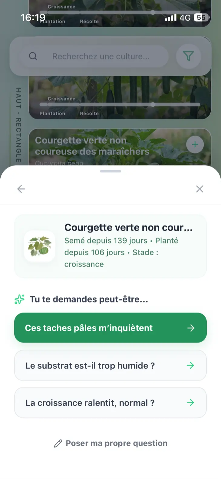 Écran de diagnostic Grainly proposant plusieurs questions sur la courgette et la saisie d’une question libre.