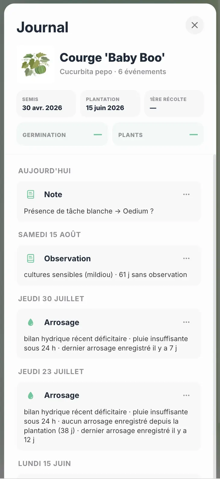 Journal chronologique d’une courge Baby Boo dans Grainly avec la nouvelle note et les observations précédentes.