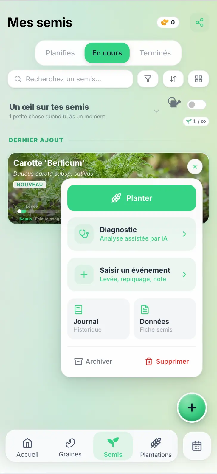 Menu d’un semis de carotte Berlicum dans Grainly avec l’action Planter mise en avant.